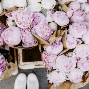 Meet your Posher, Justine